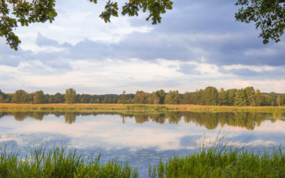 Boże Ciało w „Dworze Zaścianek”