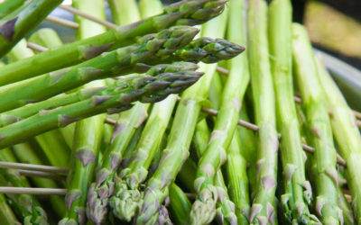 „Szparagi, wino i jazz” 24-26.05.2019