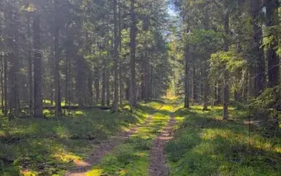 Słoneczny Weekend dla Ciała i Duszy 02.10 – 04.10.2026